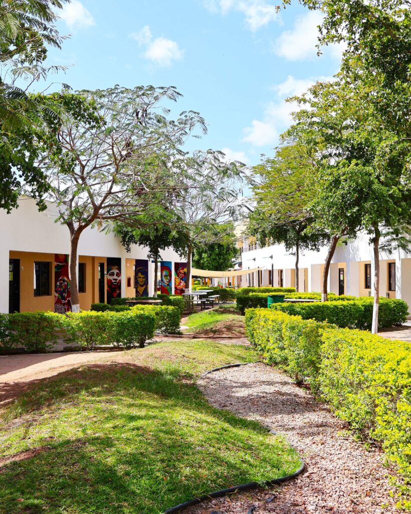 Instalaciones del Colegio Alerce